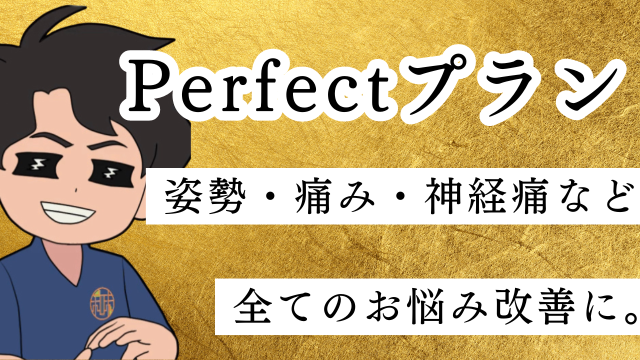 Perfect プラン